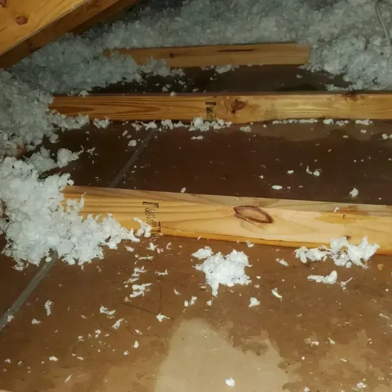 Attic Water Damage in Kellogg, ID