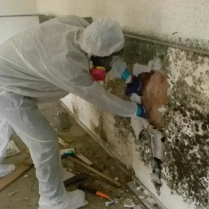 Mold Remediation and Removal in Kellogg, ID