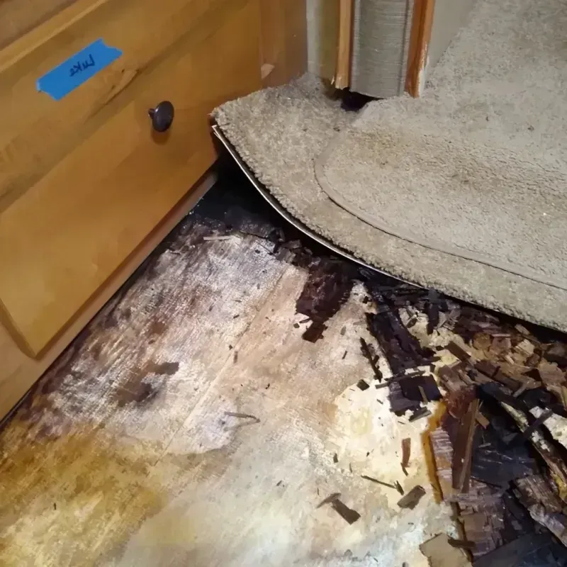 Wood Floor Water Damage in Kellogg, ID